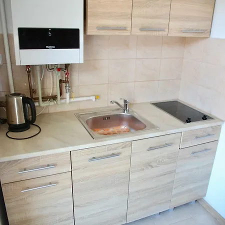 Apartment V Centru Mesta Karlovy Vary